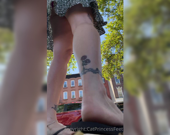 CatPrincess aka Catprincessfeet OnlyFans - Did u get to 20 2