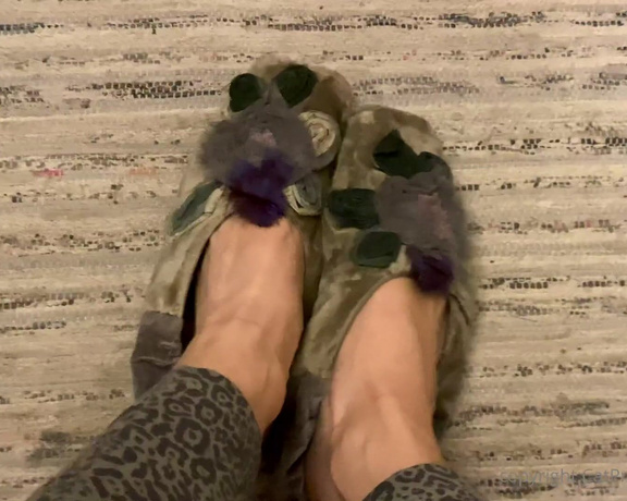 CatPrincess aka Catprincessfeet OnlyFans - Some soft slipper, silver fun Would you sniff my PrincessFeet