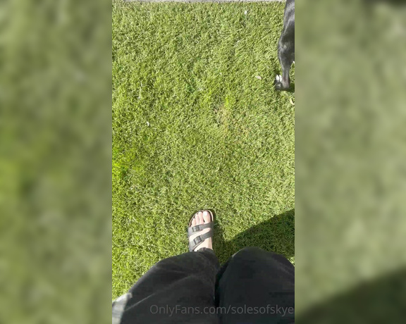 Skye aka Solesofskye OnlyFans - Walking my dog in my stinky sandals, when i should be walking you…