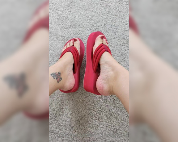 MyPrettyFeet8 aka Myprettyfeet8 OnlyFans - A little top view wedge flip flop tease