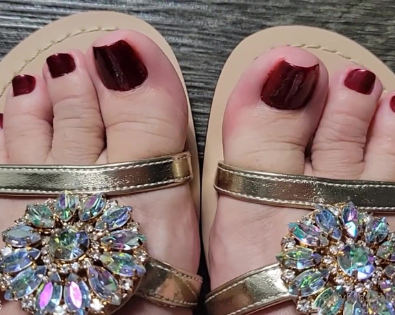 MyPrettyFeet8 aka Myprettyfeet8 OnlyFans - Gold Gladiator Sandals Toe Wiggle My sexy plump toes are painted a maroon color, and Im wearing gol