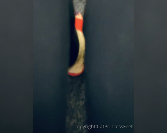 CatPrincess aka Catprincessfeet OnlyFans - Long toes, wrinkled solesif thats ur thing