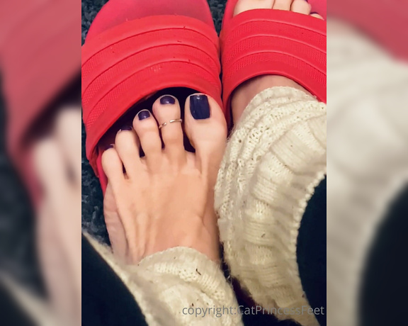 CatPrincess aka Catprincessfeet OnlyFans - Long toes, wrinkled solesif thats ur thing