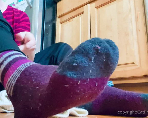 CatPrincess aka Catprincessfeet OnlyFans - Sneaker, legwarmer, and wool sock removal Then sweaty soles showenjoy! Tip if u like soft feet