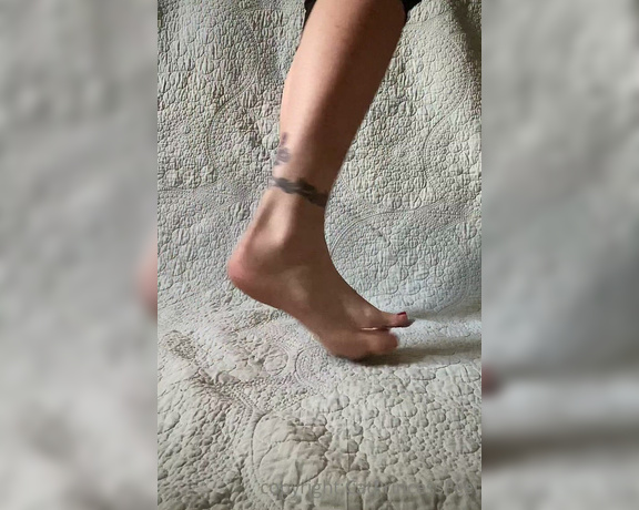 CatPrincess aka Catprincessfeet OnlyFans - Yes, i took off my socks for you