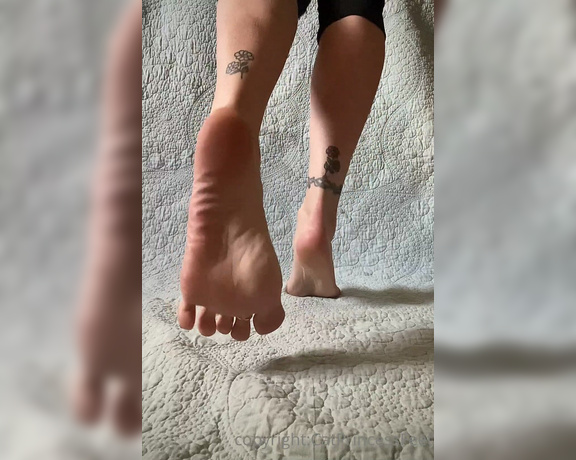 CatPrincess aka Catprincessfeet OnlyFans - Yes, i took off my socks for you