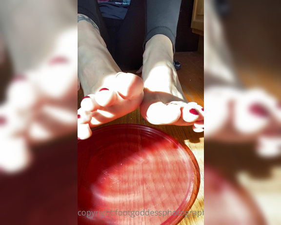 CatPrincess aka Catprincessfeet OnlyFans - Tip if you love oily feet 2