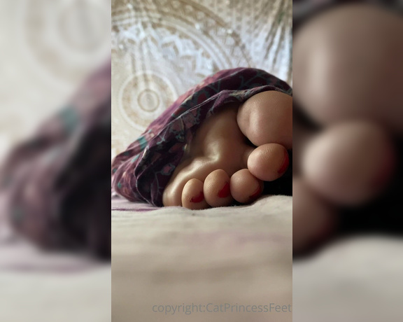 CatPrincess aka Catprincessfeet OnlyFans - Morning or night feet 6