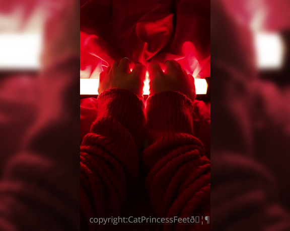 CatPrincess aka Catprincessfeet OnlyFans - Lights, milf feets, action 2