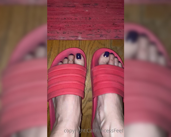 CatPrincess aka Catprincessfeet OnlyFans - 3 2 1