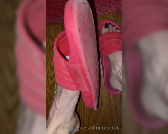 CatPrincess aka Catprincessfeet OnlyFans - 3 2 1