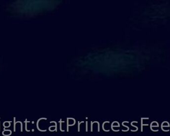 CatPrincess aka Catprincessfeet OnlyFans - The ultimate giantess experience Choose your fate will u be taken out by the falling slipper, 4