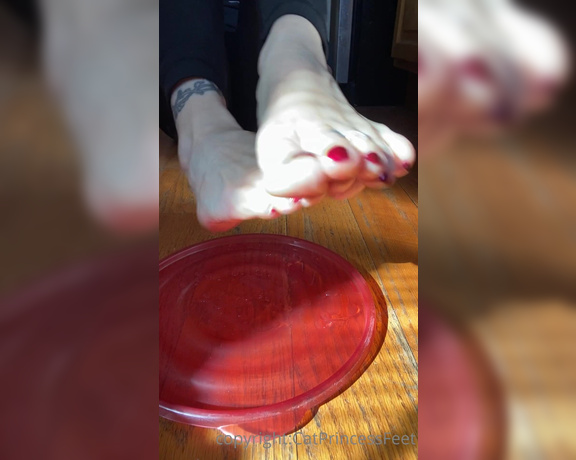 CatPrincess aka Catprincessfeet OnlyFans - Slip n slide all over u