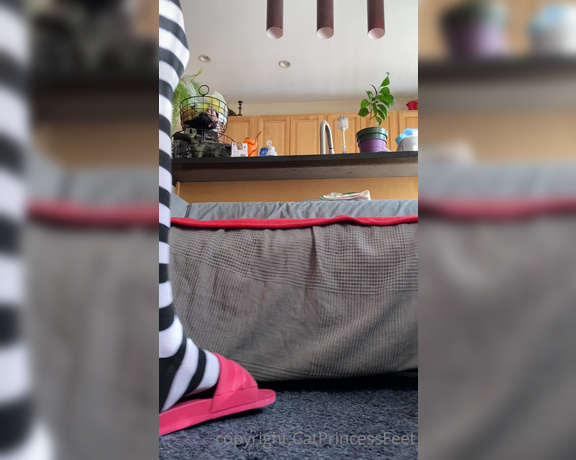 CatPrincess aka Catprincessfeet OnlyFans - Stick my striped thigh high sweaty feet in your mouth as your eyes jump from ass to feet to face 2