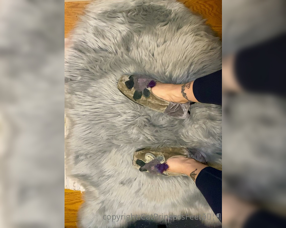 CatPrincess aka Catprincessfeet OnlyFans - Long soft slipper tease Part 2 warm n sweaty foot showcoming soon