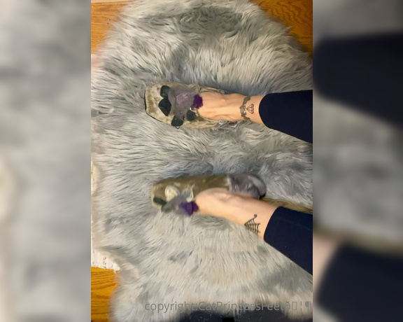 CatPrincess aka Catprincessfeet OnlyFans - Long soft slipper tease Part 2 warm n sweaty foot showcoming soon