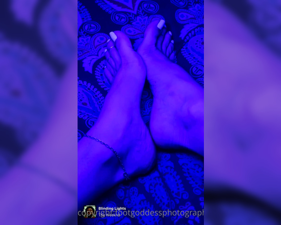 Catprincessfeet - OnlyFans Video 80