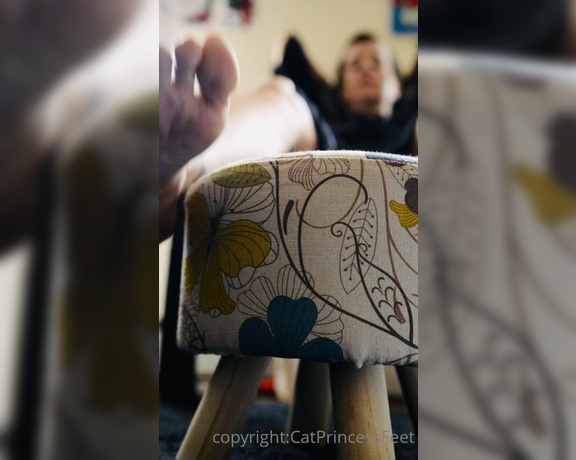 CatPrincess aka Catprincessfeet OnlyFans - Dont u wish u deserved a better view! 1