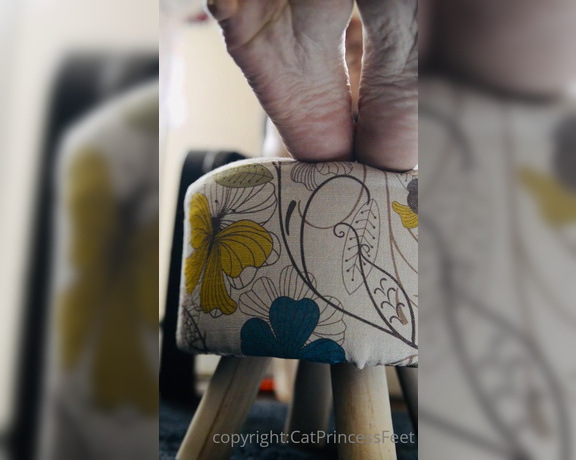 CatPrincess aka Catprincessfeet OnlyFans - Dont u wish u deserved a better view! 1