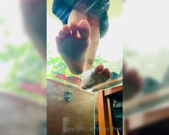 CatPrincess aka Catprincessfeet OnlyFans - Under me, as always for uncut clip 2