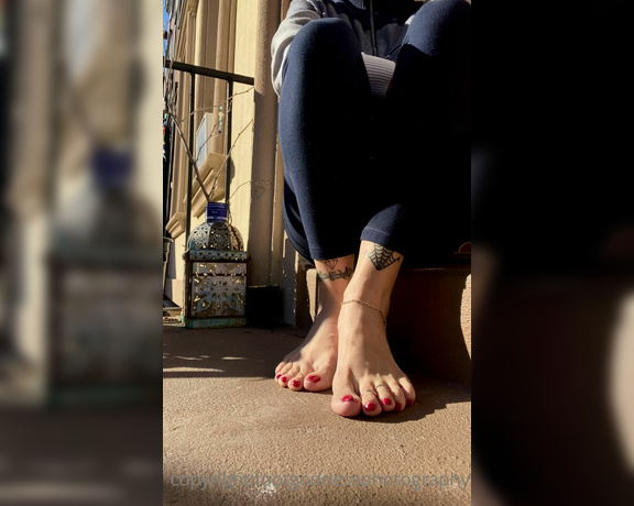 CatPrincess aka Catprincessfeet OnlyFans - Sunbathing kitty Tip if u got hot too 5