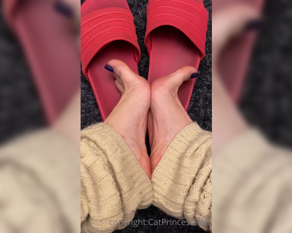 CatPrincess aka Catprincessfeet OnlyFans - Off or on 3