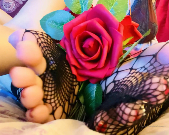 CatPrincess aka Catprincessfeet OnlyFans - Toes n roses Tip for dm surprises