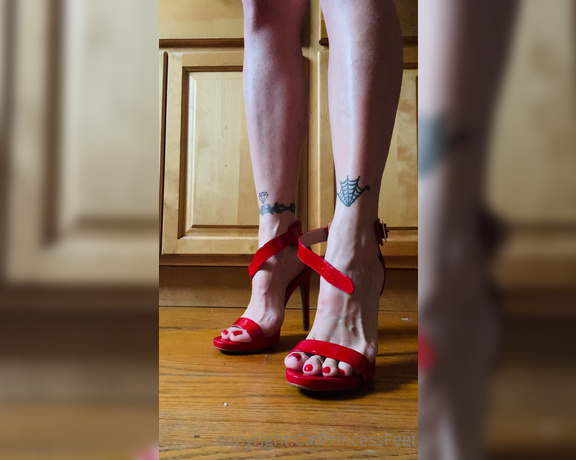 CatPrincess aka Catprincessfeet OnlyFans - Heels sexinesscuz im nice Which is ur favorite 3