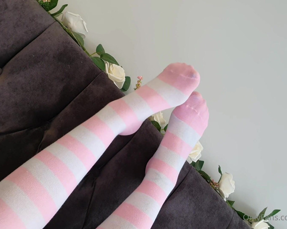 Miss Evie Lock aka Missevielock OnlyFans - I have these sexy knee high socks in like, so many different