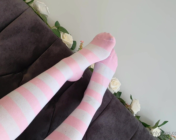 Miss Evie Lock aka Missevielock OnlyFans - I have these sexy knee high socks in like, so many different