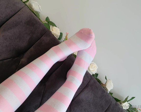 Miss Evie Lock aka Missevielock OnlyFans - I have these sexy knee high socks in like, so many different