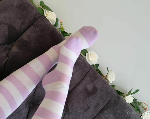 Miss Evie Lock aka Missevielock OnlyFans - I have these sexy knee high socks in like, so many different