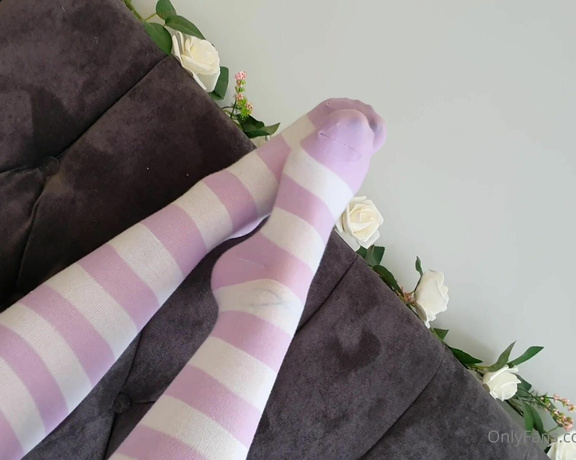 Miss Evie Lock aka Missevielock OnlyFans - I have these sexy knee high socks in like, so many different