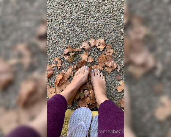 Natasha aka Vibez3 OnlyFans - My POV (TOES) of crushing fall leaves I love this sound