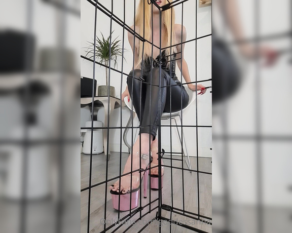 Goddess Anna aka Goddessanna OnlyFans - 8+ Mins Get in there slave