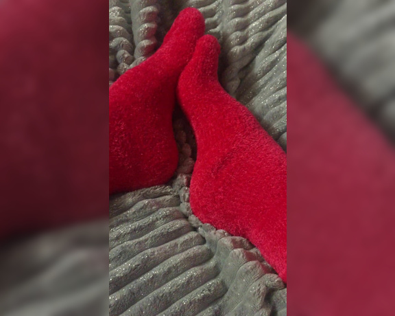 Goddess Anna aka Goddessanna OnlyFans - Xmas socks