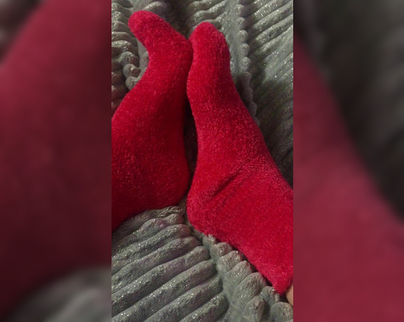 Goddess Anna aka Goddessanna OnlyFans - Xmas socks