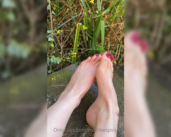 Alia Lizza aka Missfeetpics14 OnlyFans - Red nails outside what do you think