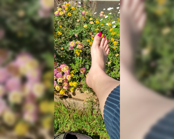 Austin Summers aka Pedipanty7_premium OnlyFans - Listening to the birds and watching the pollinators this is what peace feels like 1