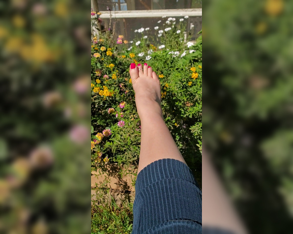 Austin Summers aka Pedipanty7_premium OnlyFans - Listening to the birds and watching the pollinators this is what peace feels like 1