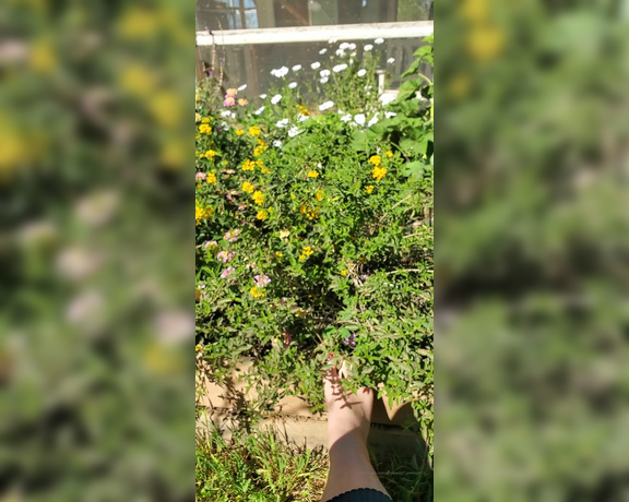 Austin Summers aka Pedipanty7_premium OnlyFans - Listening to the birds and watching the pollinators this is what peace feels like 1