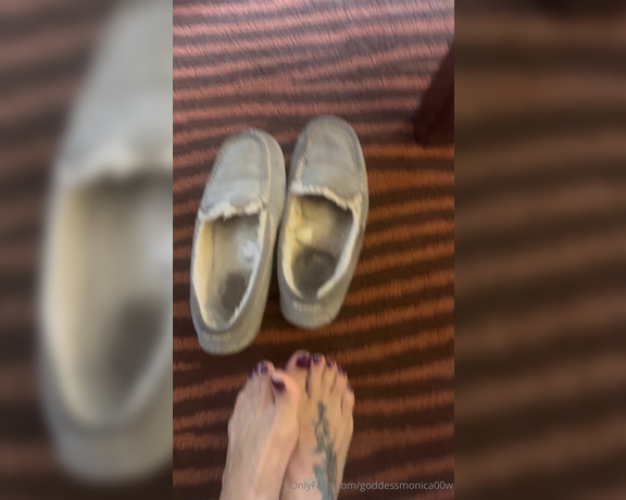 Goddess monica aka Goddessmonica00w OnlyFans - Nasty stinky slippers joi