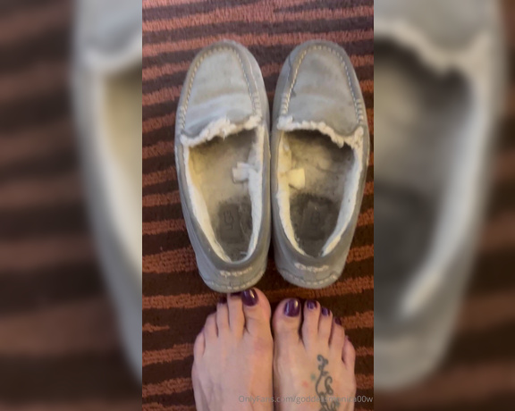 Goddess monica aka Goddessmonica00w OnlyFans - Nasty stinky slippers joi