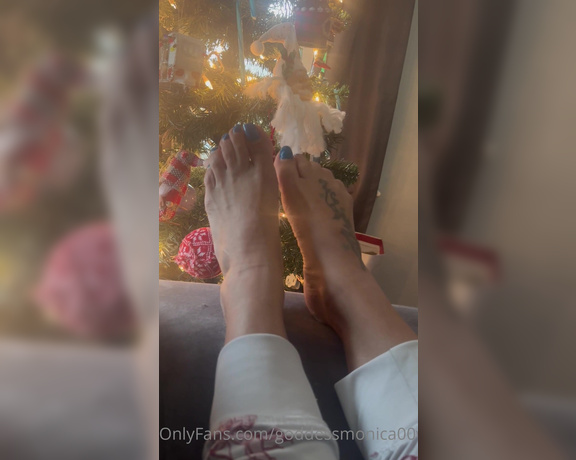 Goddess monica aka Goddessmonica00w OnlyFans - Come get a closer look at my tree !!! Fast wiggling toes