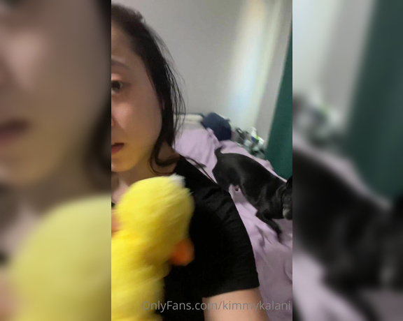 Kimmy Kalani aka Kimmykalani OnlyFans - Happy Friday hehe Dash got a new ducky stuffed animal and he loves it what other toys should I get