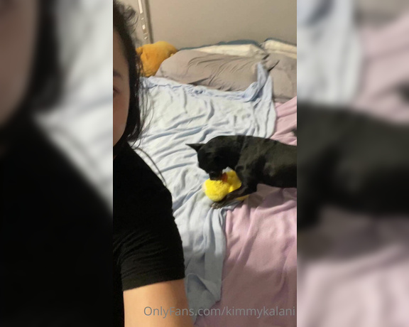 Kimmy Kalani aka Kimmykalani OnlyFans - Happy Friday hehe Dash got a new ducky stuffed animal and he loves it what other toys should I get