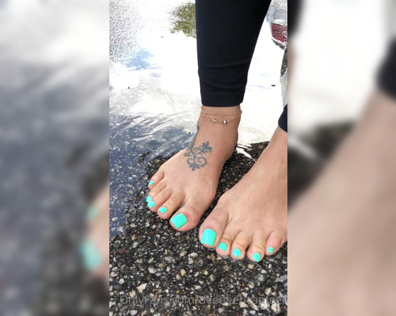 DeeDee aka Deedeericanfeet OnlyFans - Look at these cute wet piggies being playful after it rained very refreshing !! wit this new