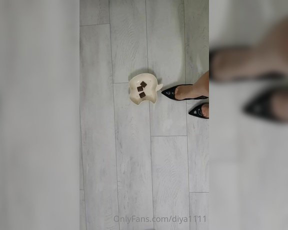 Sahibediya aka Diya1111 OnlyFans - 2