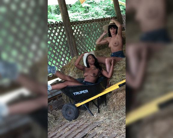 lilmizzunique aka Lilmizzunique OnlyFans - Wheel barrel fun @lalaiveyinc