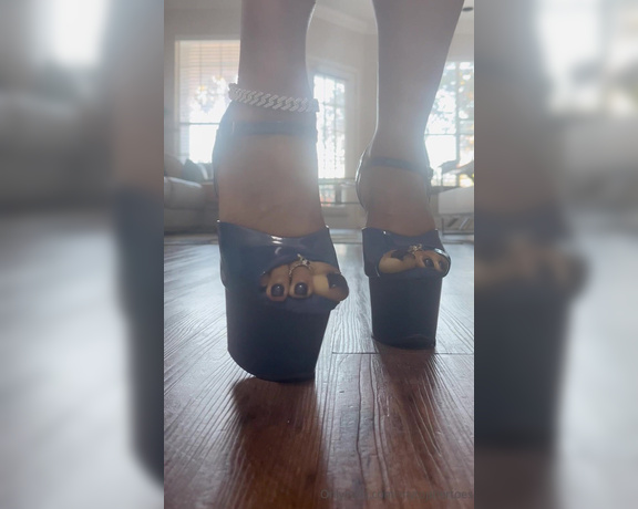 MyTopTierToes aka Mytoptiertoes OnlyFans - CAUTION MUST WATCH DICKS ARE SUBJECT TO GET HARD & BE STEPPED ON!